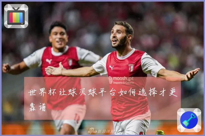 世界杯让球买球平台如何选择才更靠谱