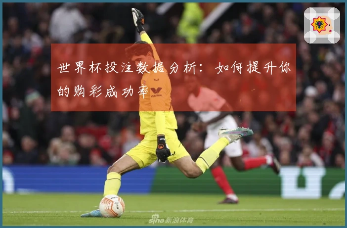世界杯投注数据分析：如何提升你的购彩成功率
