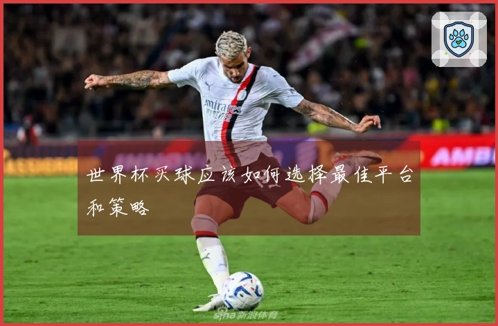 世界杯买球应该如何选择最佳平台和策略