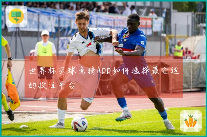 世界杯买球竞猜App如何选择最合适的投注平台