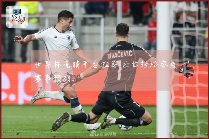 世界杯竞猜平台推荐 让你轻松参与赛事预测