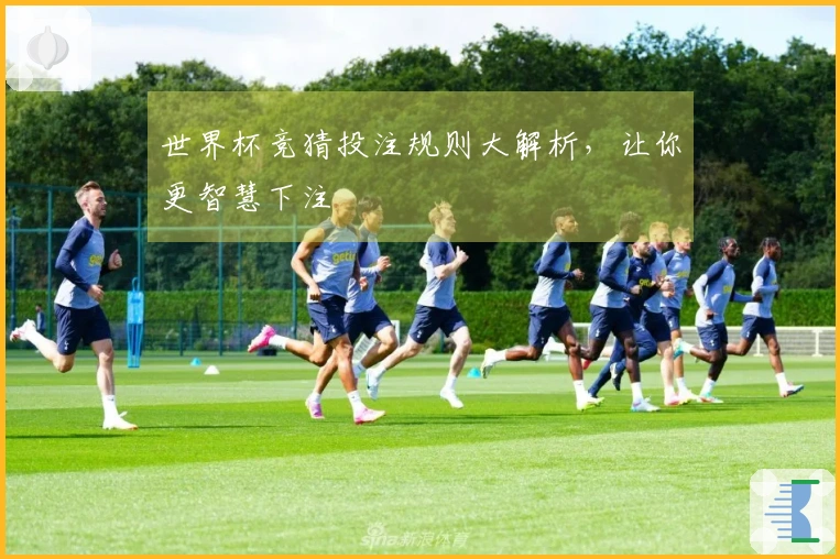 世界杯竞猜投注规则大解析，让你更智慧下注