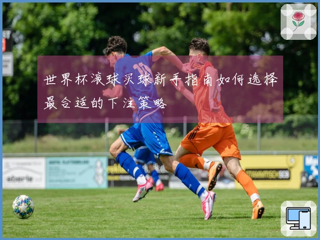 世界杯滚球买球新手指南如何选择最合适的下注策略